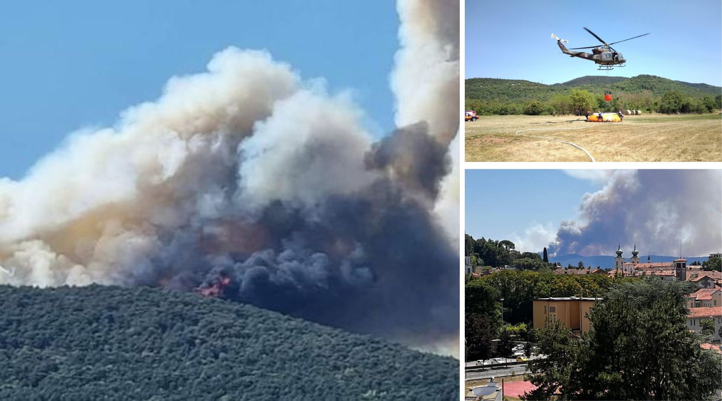 Immagine per In fumo 300 ettari di Carso, rischio esplosione ordigni della Grande guerra